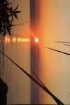 DSC02187