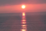 DSC02224