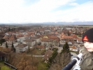 KIWO_1_107