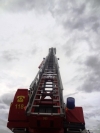 KIWO_1_114