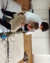 KIWO_1_153