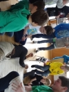 KIWO_1_164