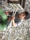 KIWO_1_167