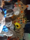KIWO_1_174