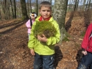 KIWO_1_71