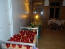 SAM_0386