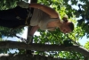 Teenscamp_Wallis_12_51