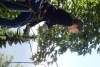 Teenscamp_Wallis_12_52