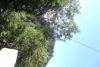 Teenscamp_Wallis_12_57