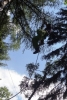 Teenscamp_Wallis_12_62