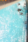 Teenscamp_Wallis_12_71