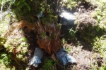 Teenscamp_Wallis_12_80