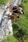 camp_teens_13_60
