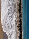 la_torre_del_sol_23