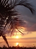 la_torre_del_sol_70